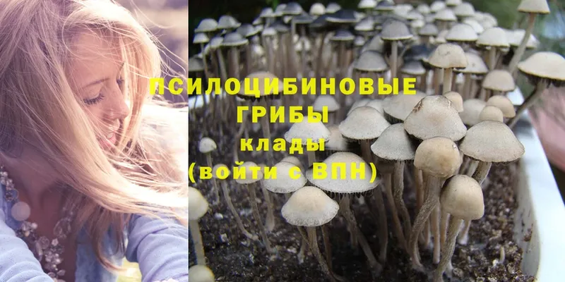 Псилоцибиновые грибы Magic Shrooms  Мурманск 